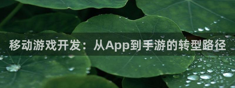 安信13娱乐官网入口：移动游戏开发：从App到手游的转型路径