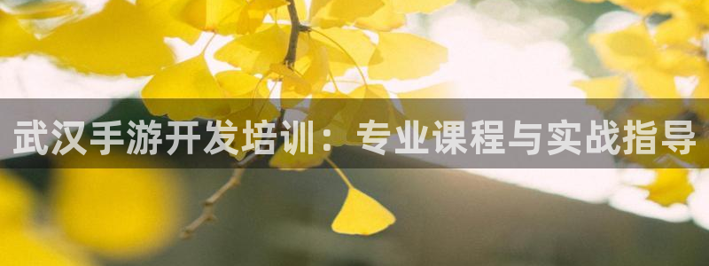 安信娱乐宝应网：武汉手游开发培训：专业课程与实战指导