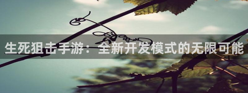 安信14娱乐注册：生死狙击手游：全新开发模式的无限可能