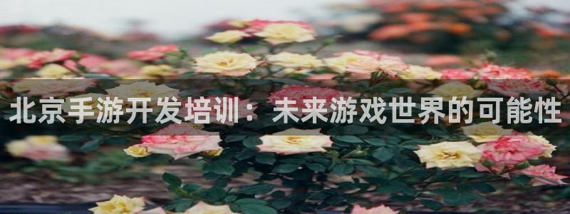 安信娱乐1：北京手游开发培训：未来游戏世界的可能性