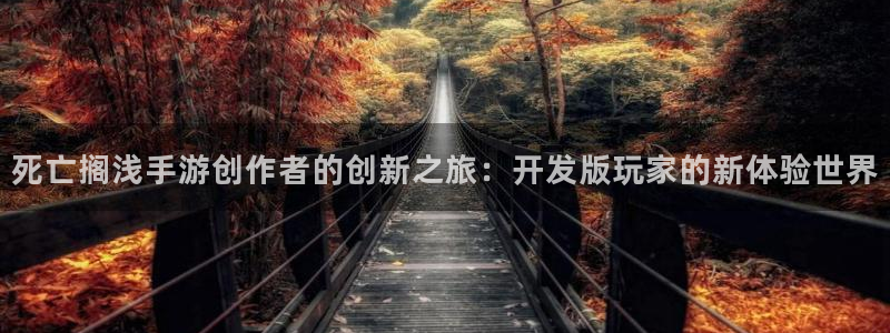 安信娱乐2：死亡搁浅手游创作者的创新之旅：开发版玩家的新体验