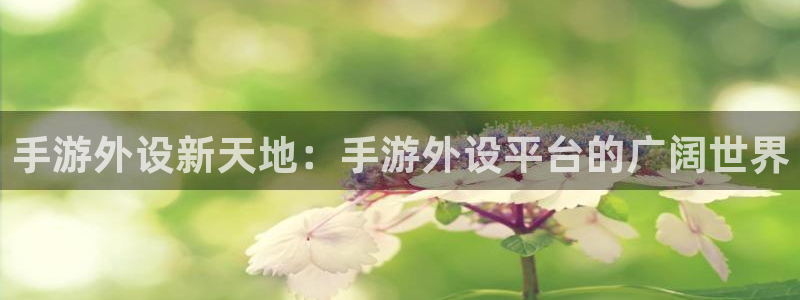 安信12娱乐注册:手游外设新天地:手游外设平台的广阔世界