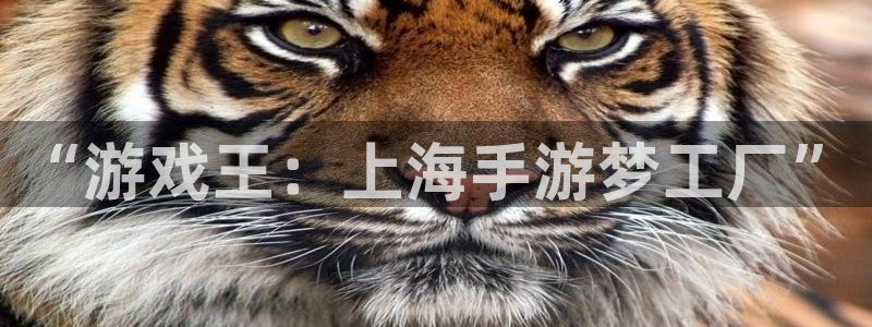 安信12娱乐网:“游戏王:上海手游梦工厂”
