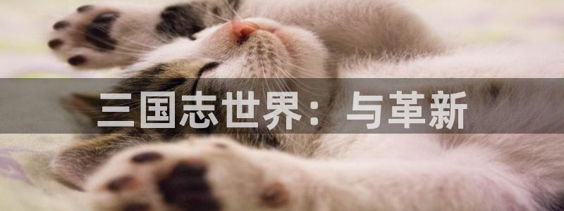 安信12娱乐网:三国志世界:与革新