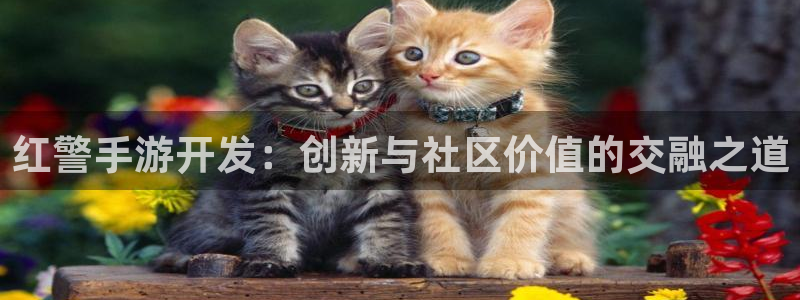 安信13娱乐:红警手游开发:创新与社区价值的交融之道