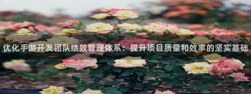 安信12娱乐注册：优化手游开发团队绩效管理体系：提升项目质量