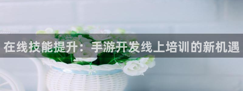 安信娱乐软件：在线技能提升：手游开发线上培训的新机遇