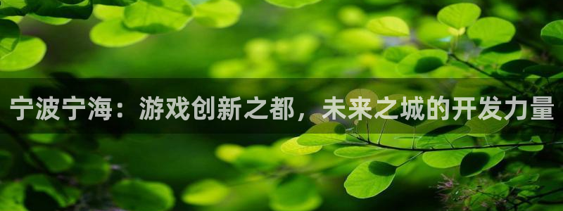 安信娱乐怎么注册：宁波宁海：游戏创新之都，未来之城的开发力量
