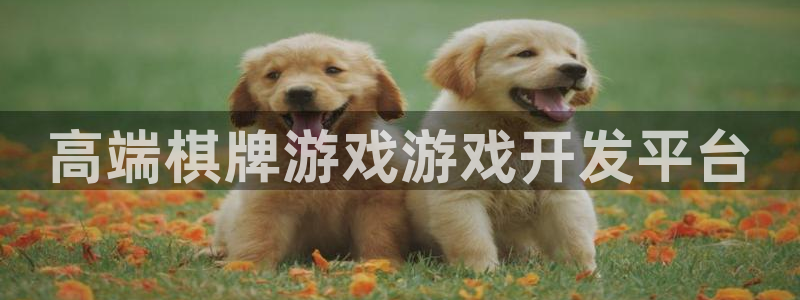 安信娱乐：高端棋牌游戏游戏开发平台