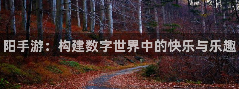 安信娱乐怎么注册：阳手游：构建数字世界中的快乐与乐趣