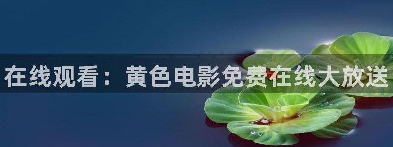 nba直播在线观看919：在线观看：黄色电影免费在线大放送