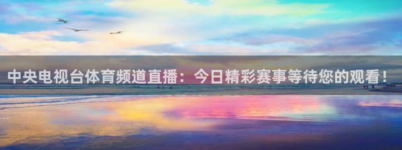 919 直播：中央电视台体育频道直播：今日精彩赛事等待您的观看！