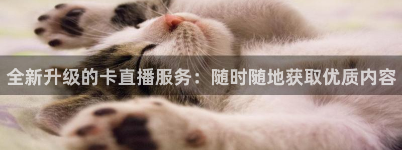 919体育直播间：全新升级的卡直播服务：随时随地获取优质内容