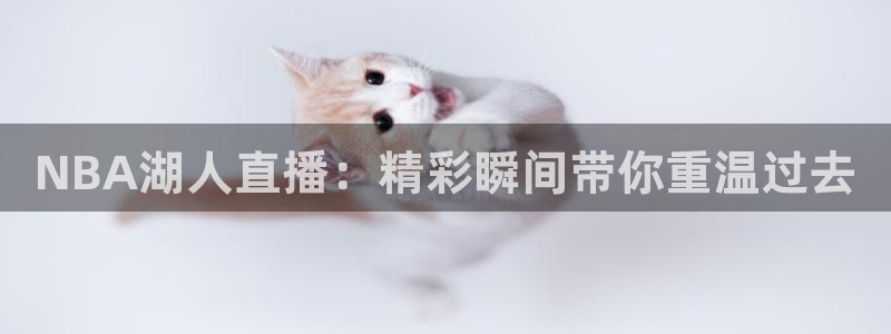 919足球直播：NBA湖人直播：精彩瞬间带你重温过去