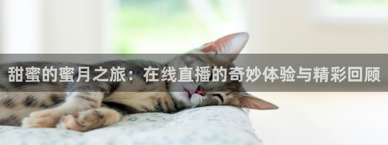 919体育直播平台在线观看：甜蜜的蜜月之旅：在线直播的奇妙体验与精彩回顾