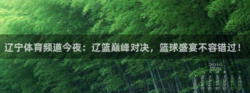 919直播平台官方网站：辽宁体育频道今夜：辽篮巅峰对决，篮球盛宴不容错过！