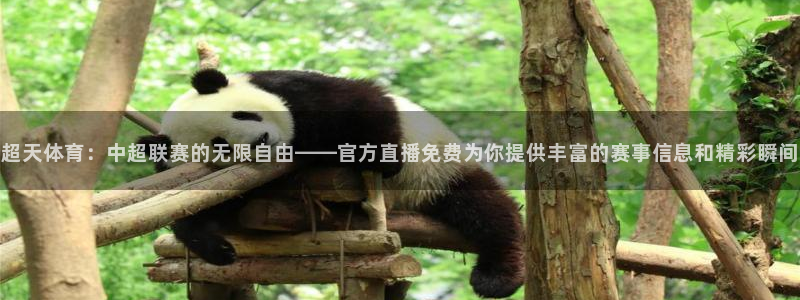 919体育直播在线观看：超天体育：中超联赛的无限自由——官方直播免费为你提供丰富的赛事信息和精彩瞬间