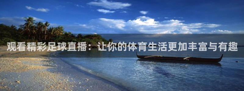 919体育专业直播平台：观看精彩足球直播：让你的体育生活更加丰富与有趣