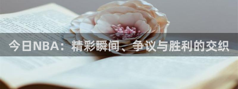 919直播在线看球：今日NBA：精彩瞬间、争议与胜利的交织