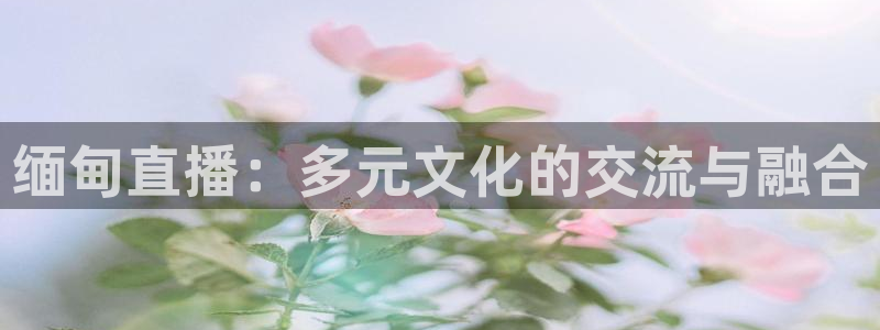 919直播：缅甸直播：多元文化的交流与融合