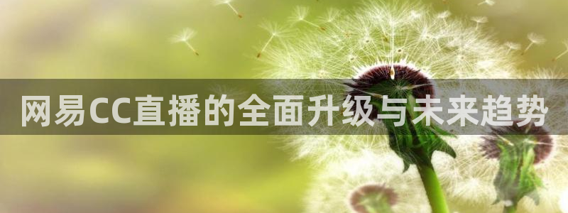 919 直播：网易CC直播的全面升级与未来趋势