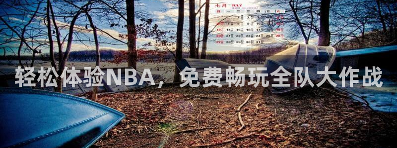 919直播在线看球：轻松体验NBA，免费畅玩全队大作战