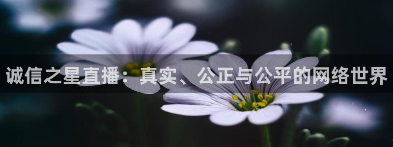 919足球直播：诚信之星直播：真实、公正与公平的网络世界