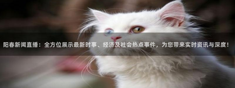 919体育直播间在线看：阳春新闻直播：全方位展示最新时事、经济及社会热点事件，为您带来实时资讯与深度！
