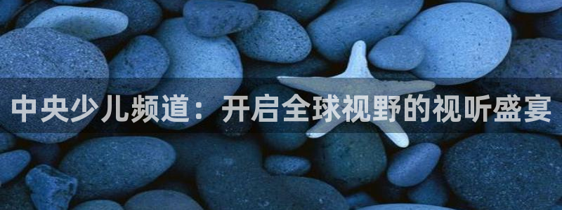 919 直播：中央少儿频道：开启全球视野的视听盛宴