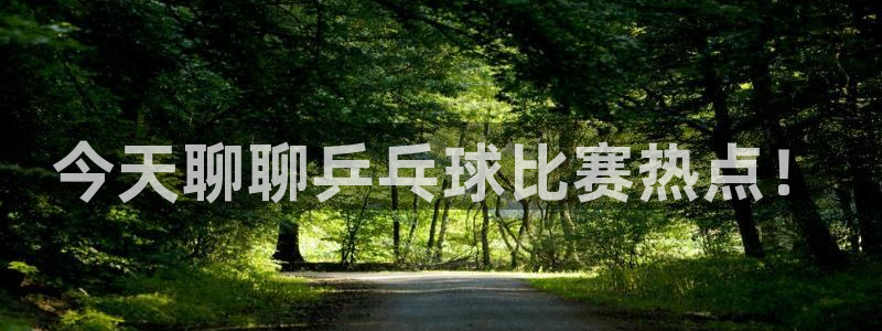 919体育直播安卓版：今天聊聊乒乓球比赛热点！