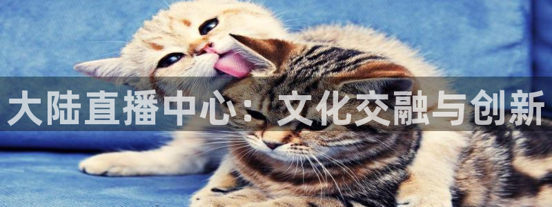 919直播间官网：大陆直播中心：文化交融与创新