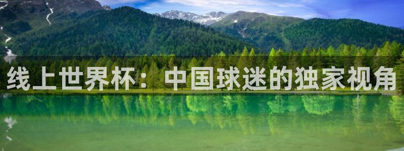 919体育直播下载：线上世界杯：中国球迷的独家视角