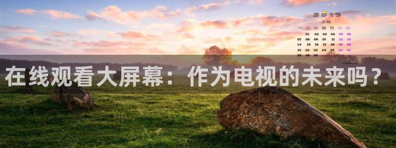 nba直播在线观看919：在线观看大屏幕：作为电视的未来吗？