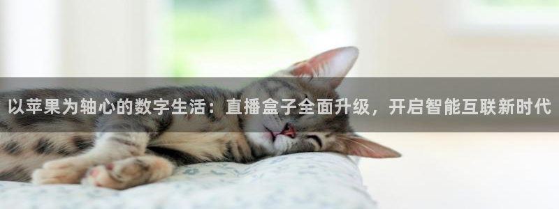 919直播：以苹果为轴心的数字生活：直播盒子全面升级，开启智能互联新时代